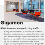 Gigamon Success Story