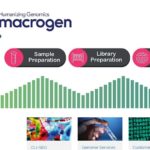 macrogen website project