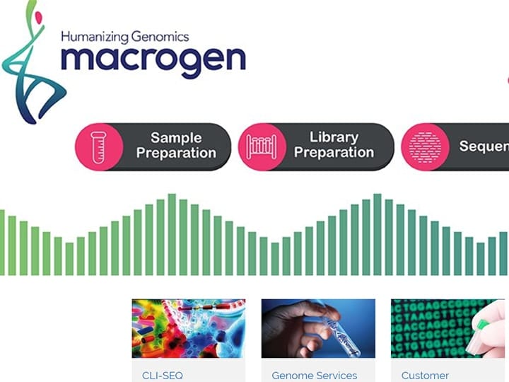 macrogen website project